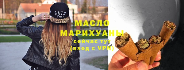 индика Богданович