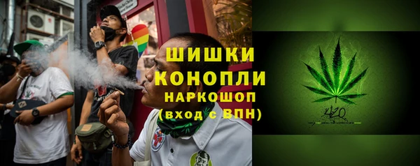 индика Богородск