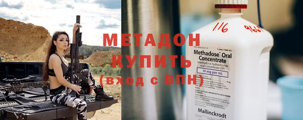 индика Богданович
