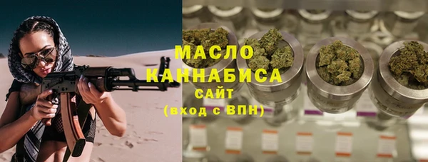 индика Богородск