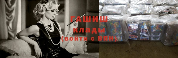 индика Богданович