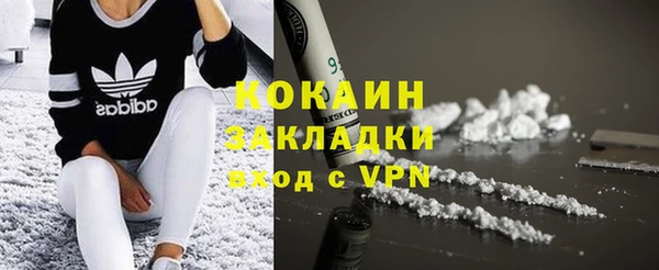 индика Богородск