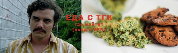 индика Богданович