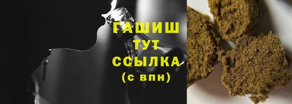 индика Богородск
