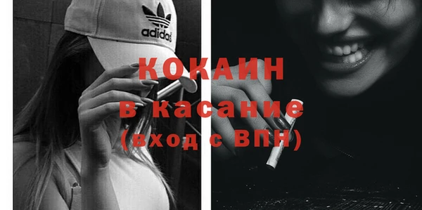 индика Богданович