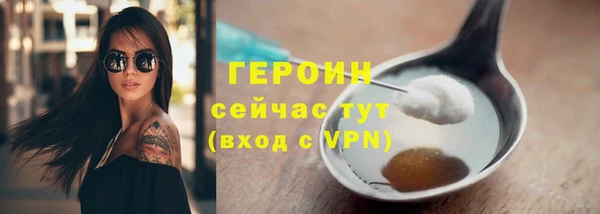 индика Богородск
