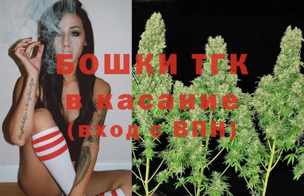 индика Богданович