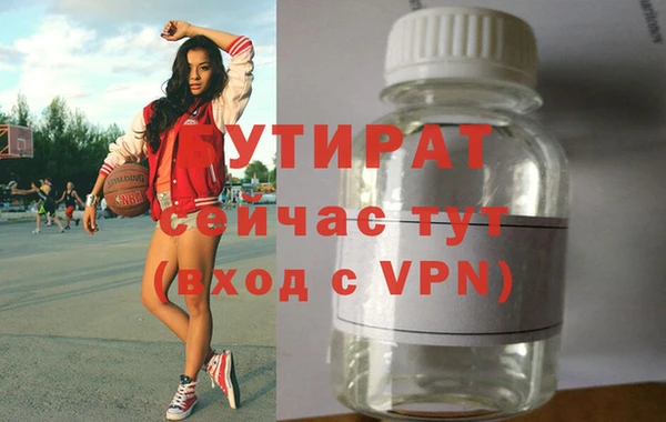 индика Богданович