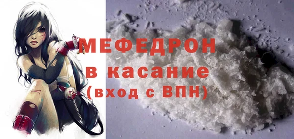 индика Богородск