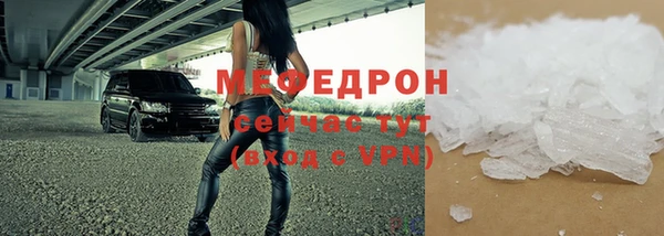 индика Богданович