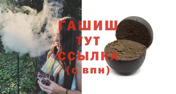 индика Богданович