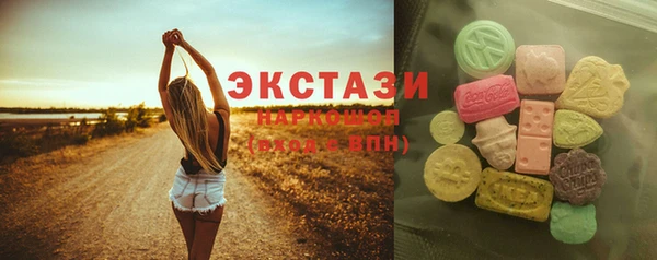 индика Богородск