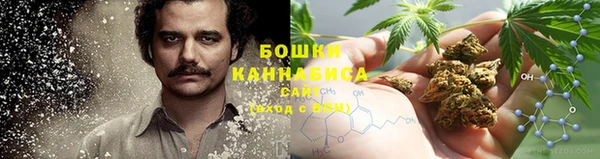 индика Богданович
