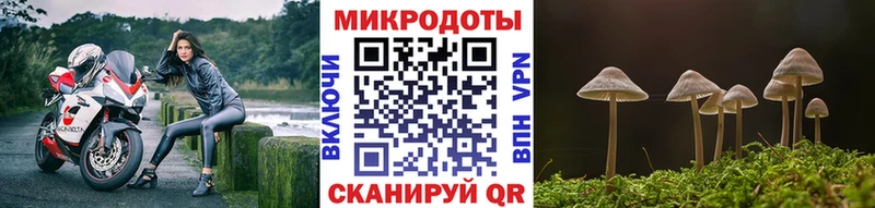 Галлюциногенные грибы мухоморы  Купить где  Алдан 